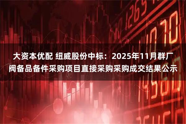 大资本优配 纽威股份中标:2025年11月群厂阀备品备件采购项目直接采购采购成交结果公示