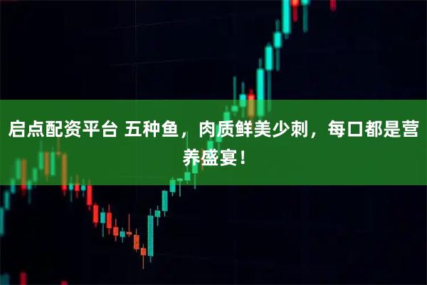 启点配资平台 五种鱼，肉质鲜美少刺，每口都是营养盛宴！