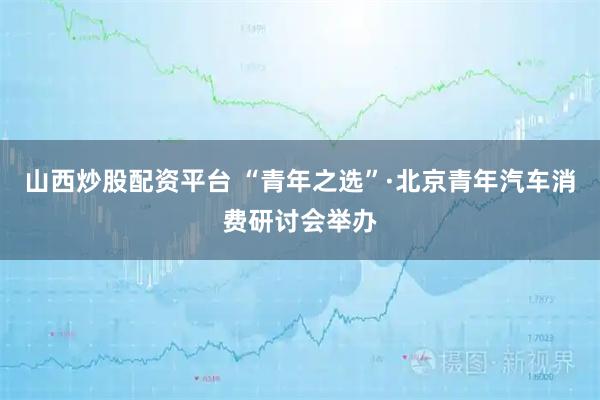 山西炒股配资平台 “青年之选”·北京青年汽车消费研讨会举办