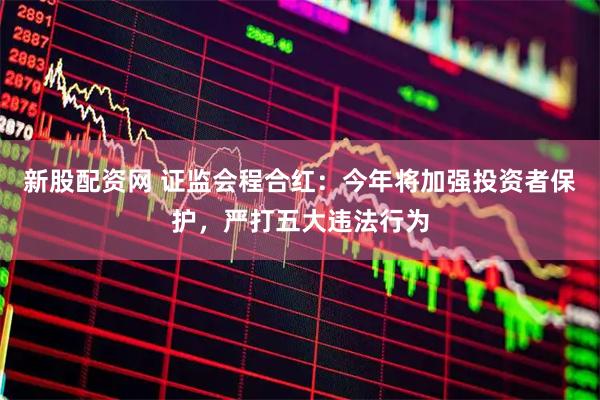 新股配资网 证监会程合红:今年将加强投资者保护,严打五大违法行为